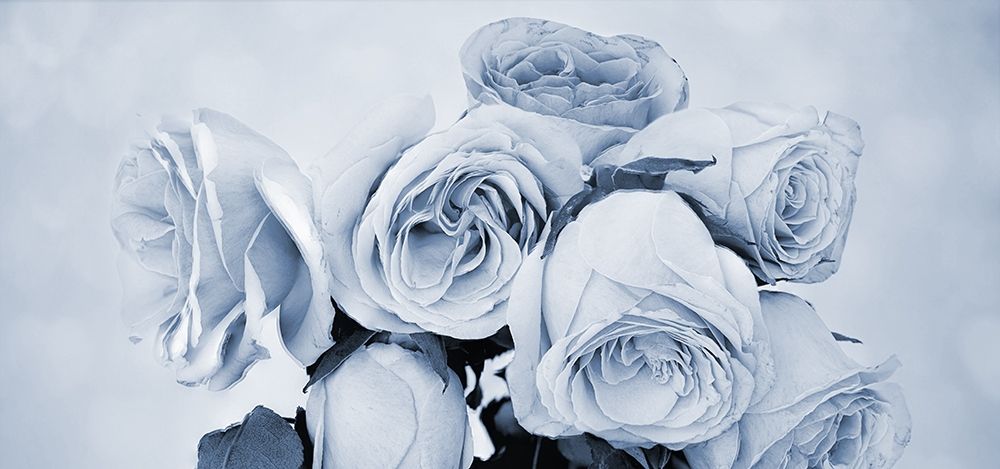 Wall Art Painting id:306193, Name: Soft Blue Rose Garden, Artist: Phillip, Jamie