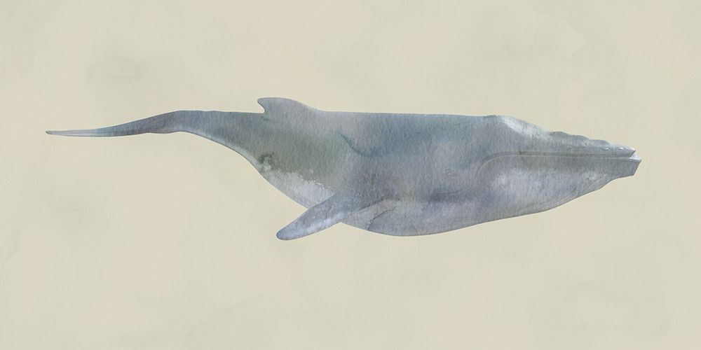 Wall Art Painting id:306827, Name: Whale Whale Whale !, Artist: Phillip, Jamie