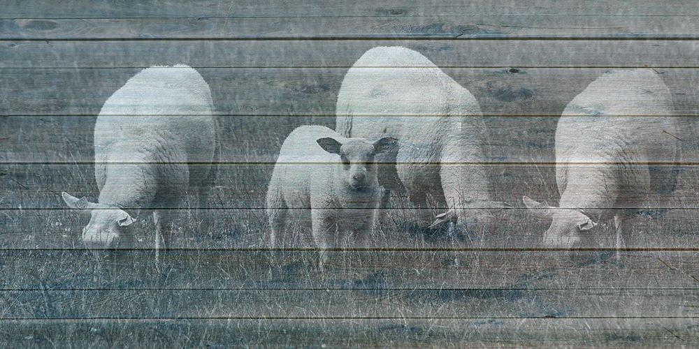 Similar wall art painting: 306177