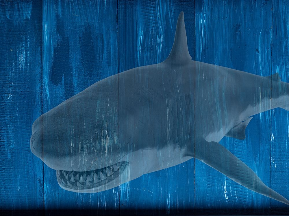 Wall Art Painting id:306237, Name: Man Cave Shark, Artist: Phillip, Jamie