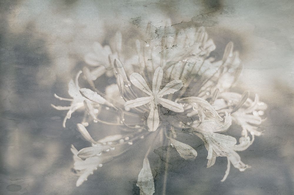 Similar wall art painting: 522875