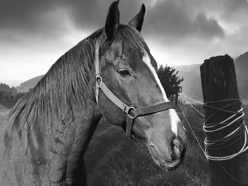 Similar wall art painting: 306261