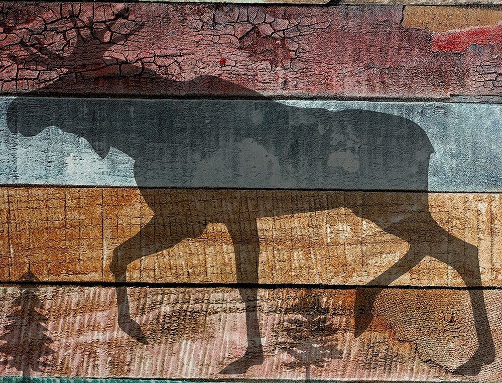 Wall Art Painting id:306263, Name: Lodge Animal, Artist: Phillip, Jamie