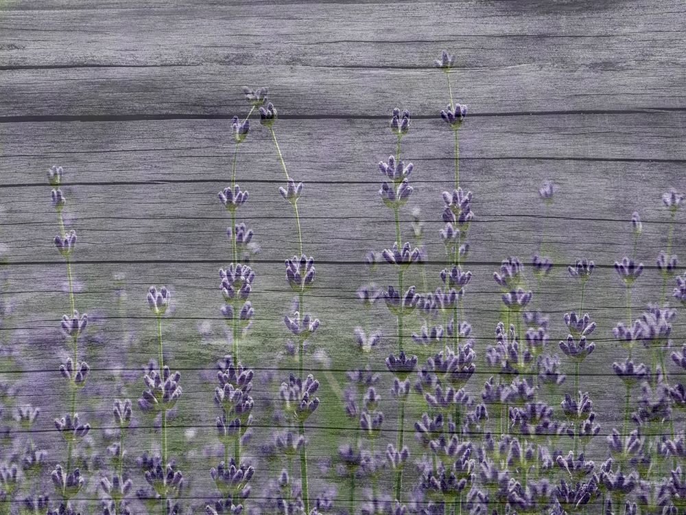 Similar wall art painting: 306270