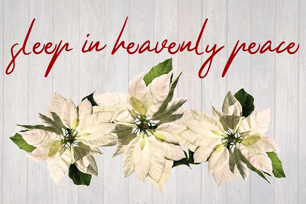 Similar wall art painting: 307417