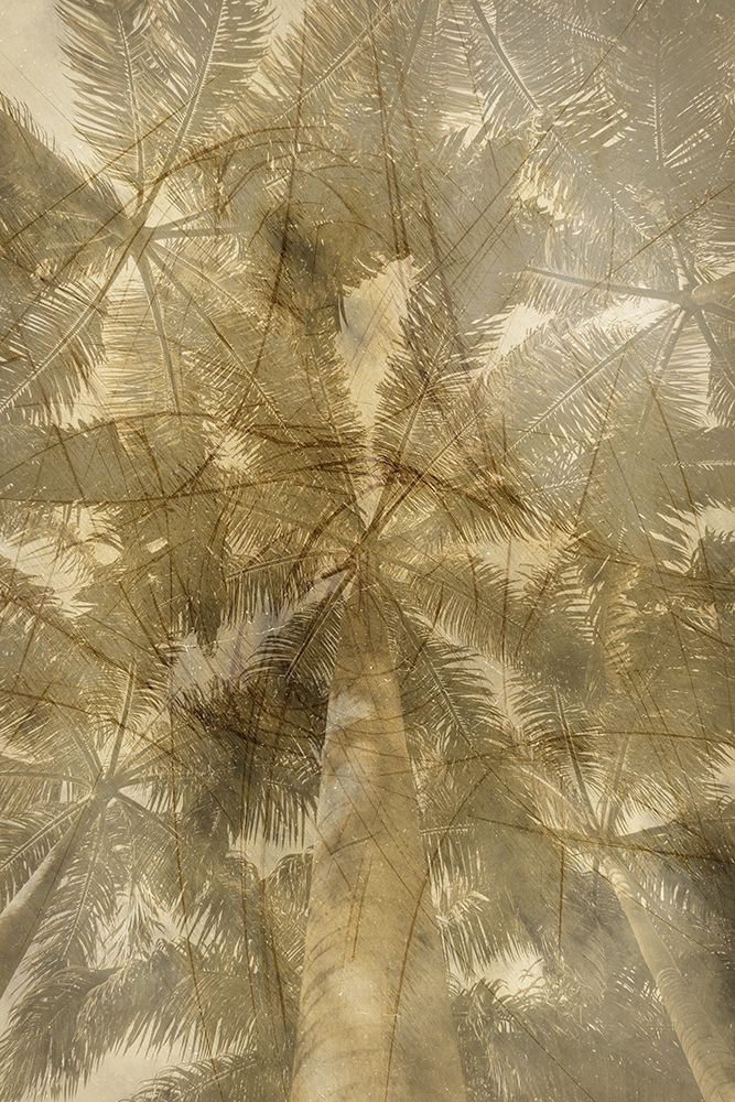 Similar wall art painting: 522882