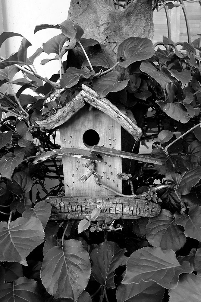 Wall Art Painting id:306413, Name: Bird House, Artist: Phillip, Jamie