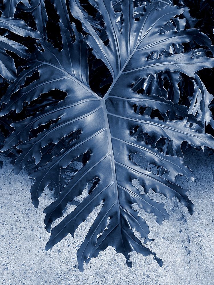 Similar wall art painting: 306416