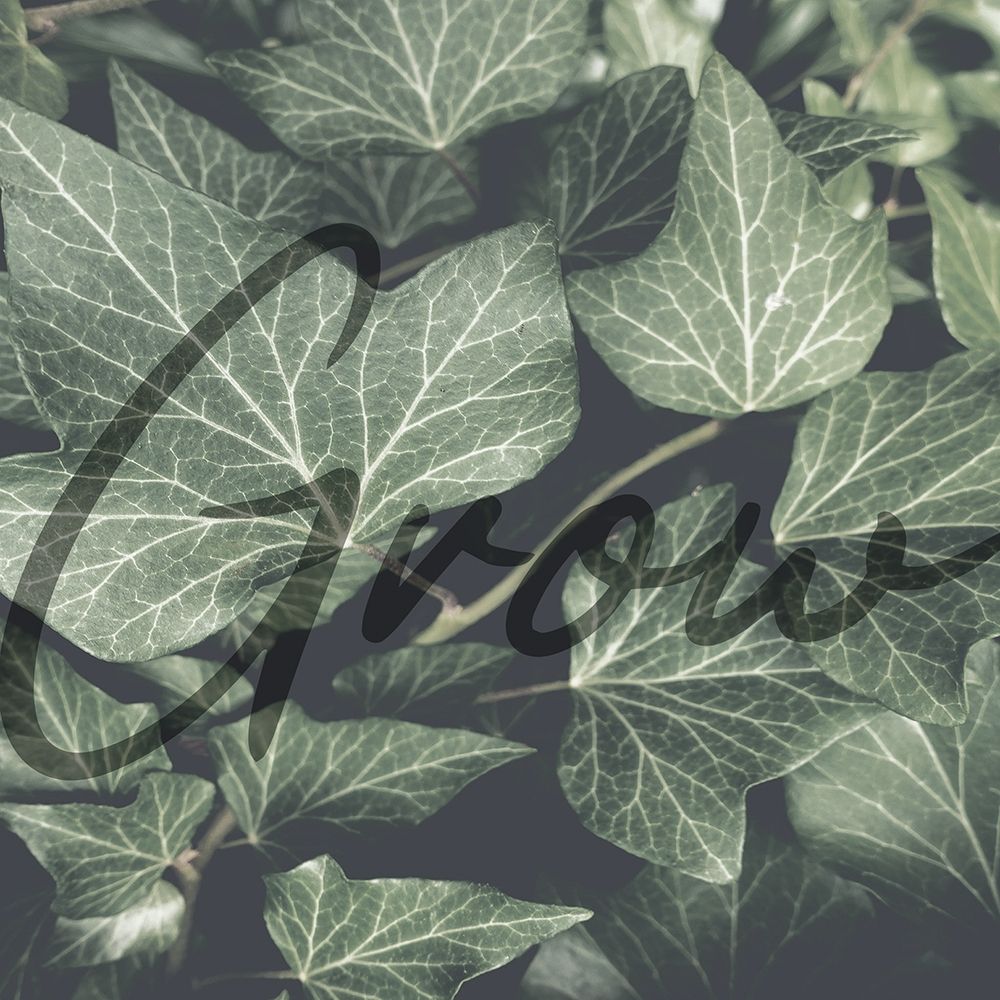 Similar wall art painting: 306663