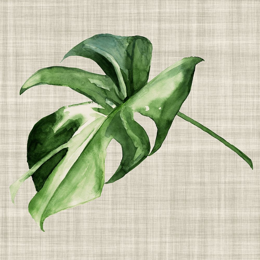 Wall Art Painting id:322197, Name: Araceae, Artist: Urban Road