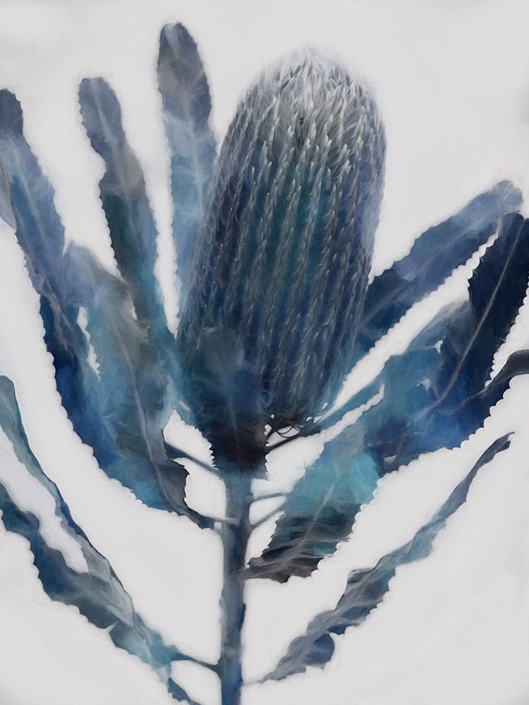 Similar wall art painting: 322228