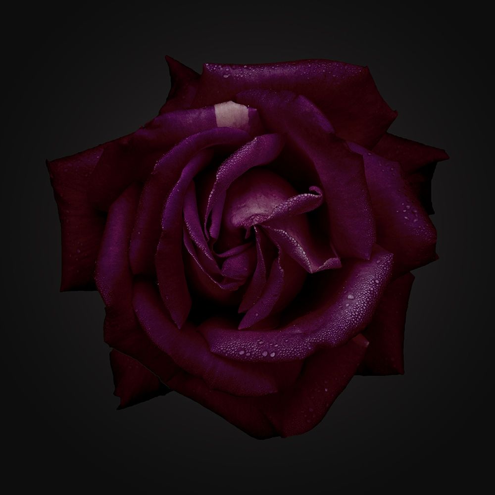 Similar wall art painting: 322881