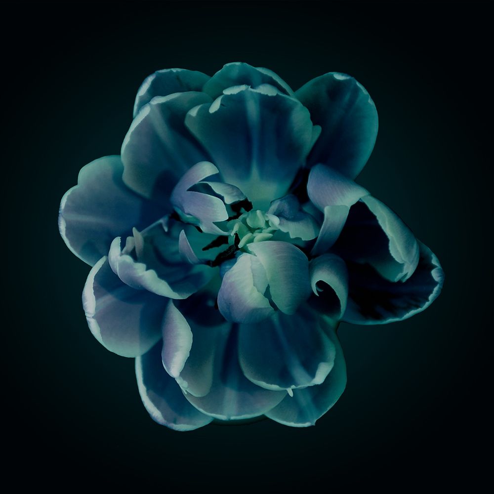 Similar wall art painting: 322882