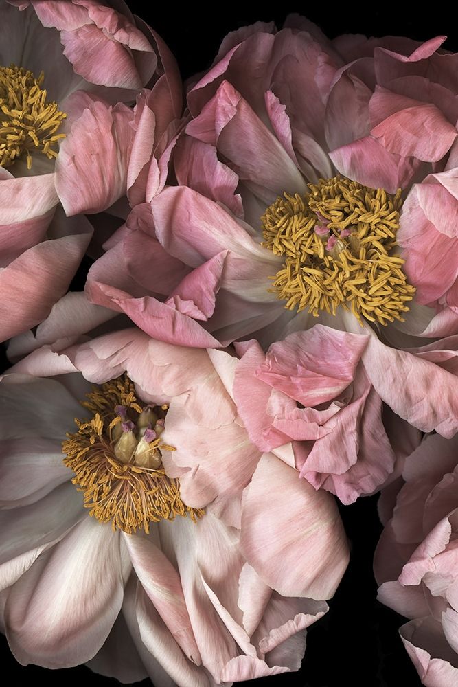 Similar wall art painting: 310734