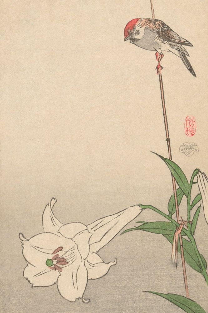 Wall Art Painting id:344981, Name: Small bird on lily plant., 1893, Artist: Baison
