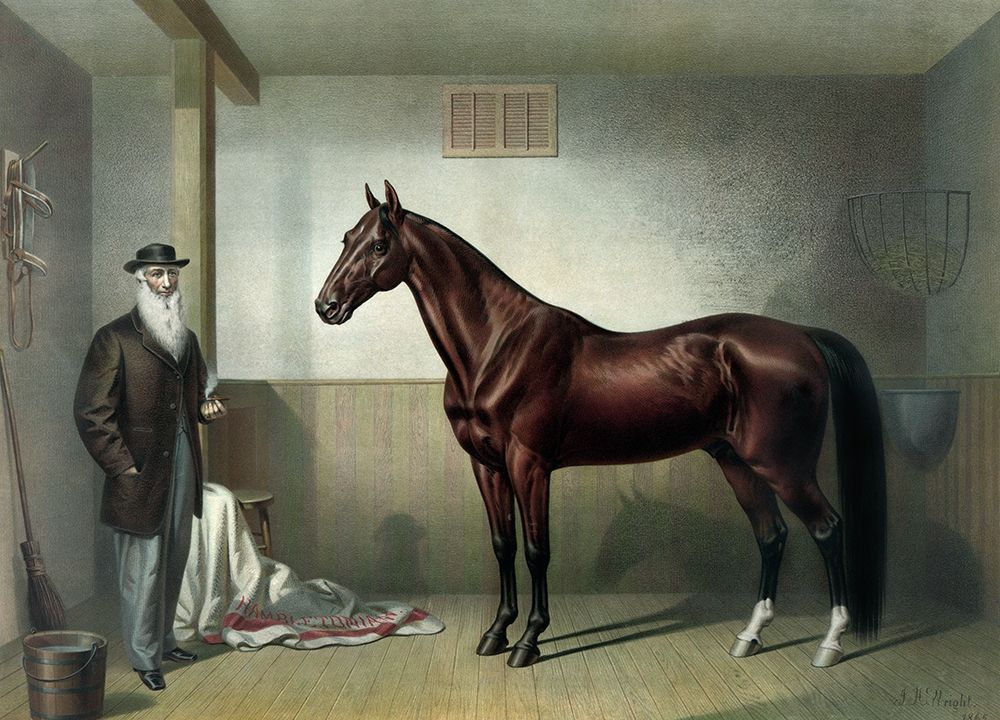 Wall Art Painting id:345145, Name: Rysdyks Hambletonian, Artist: Currier and Ives