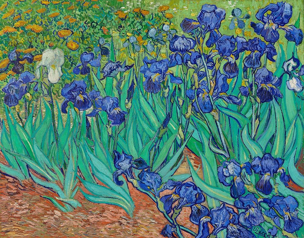Wall Art Painting id:352546, Name: Irises (1889), Artist: Van Gogh, Vincent