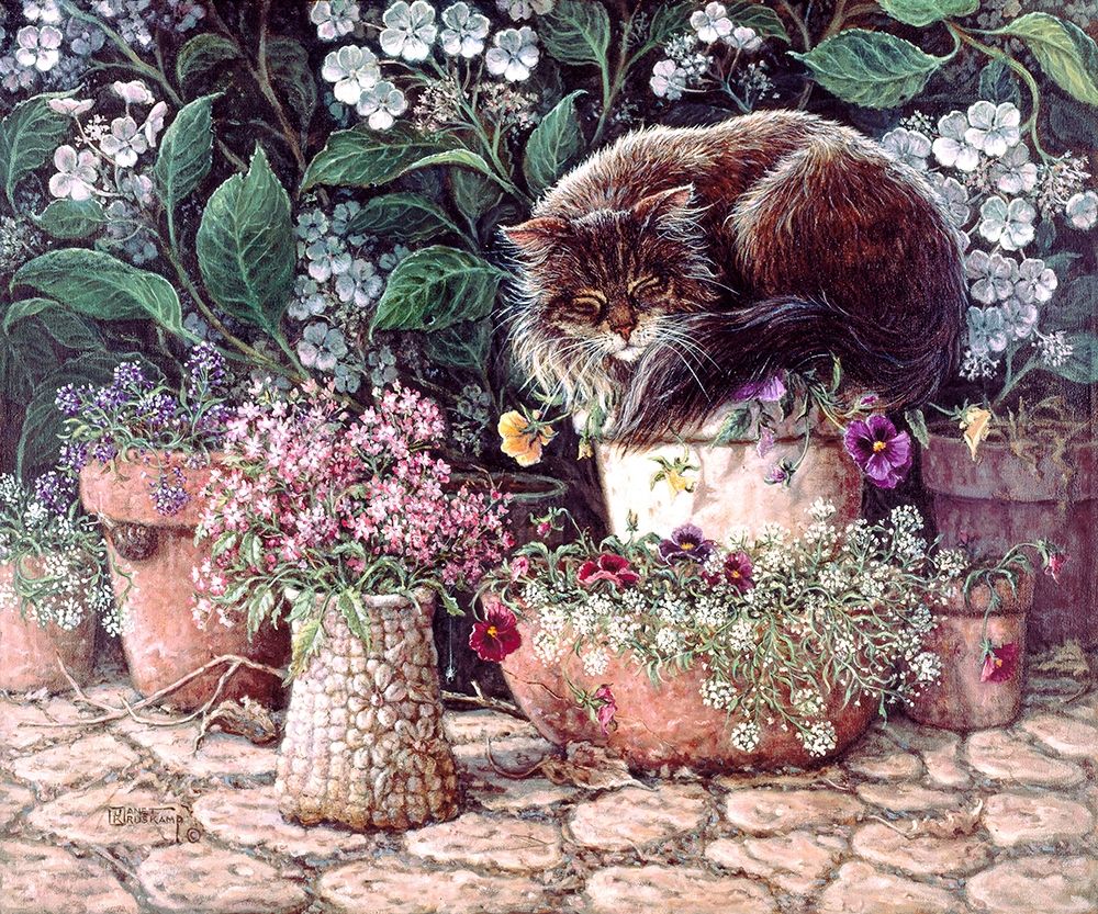 Wall Art Painting id:354339, Name: Pansy Sleeping in the Sun, Artist: Kruskamp, Janet