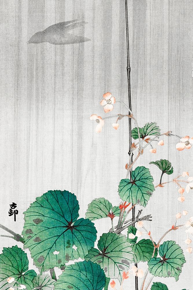 Art Print: Begonia in the rain 