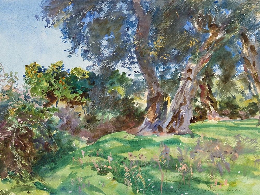 Wall Art Painting id:362246, Name: Olive Trees, Corfu, Artist: Sargent, John Singer