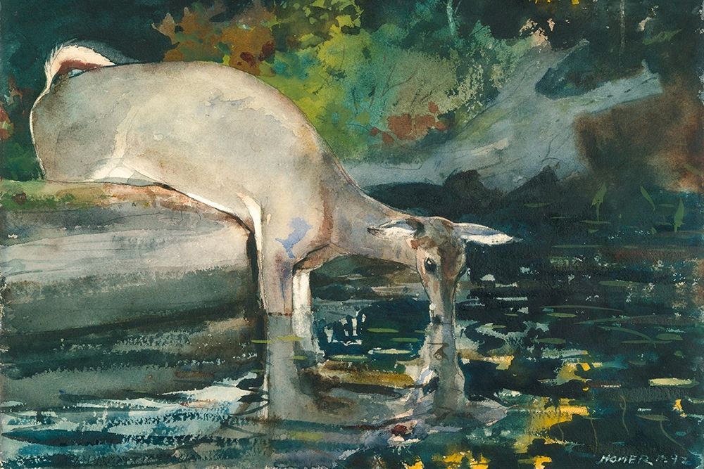 Wall Art Painting id:363359, Name: Deer Drinking, Artist: Homer, Winslow