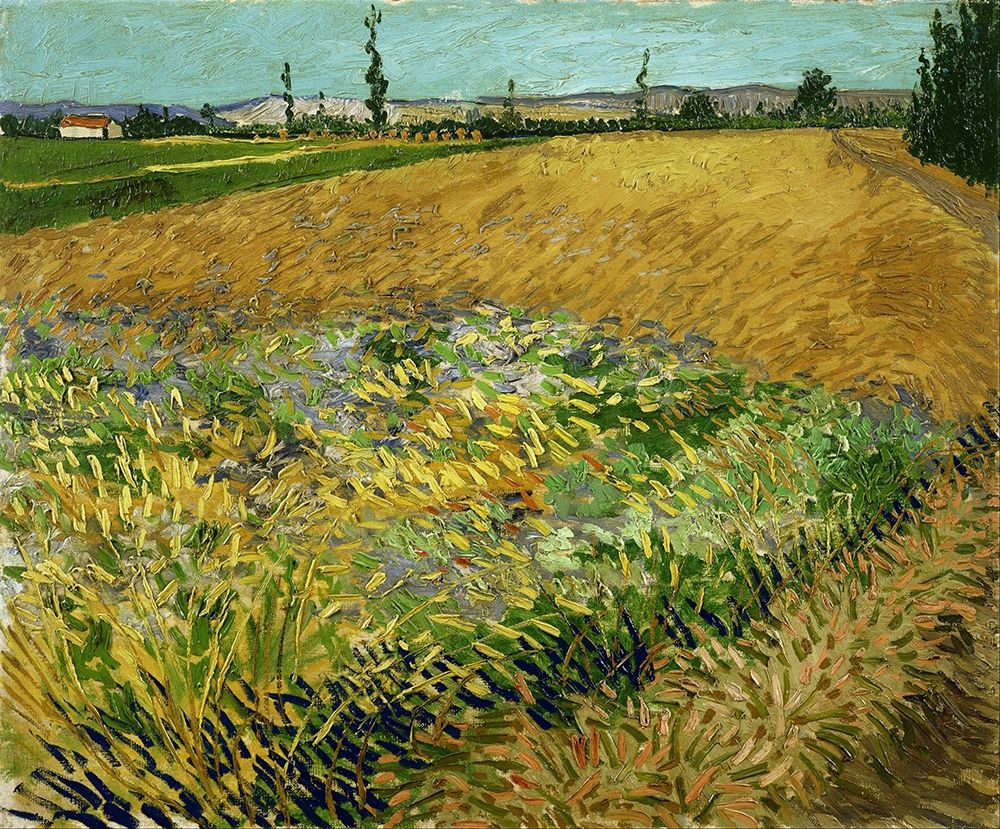 Wall Art Painting id:377369, Name: Wheatfield, Artist: van Gogh, Vincent