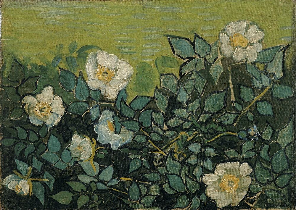 Wall Art Painting id:377396, Name: Wild roses, Artist: van Gogh, Vincent