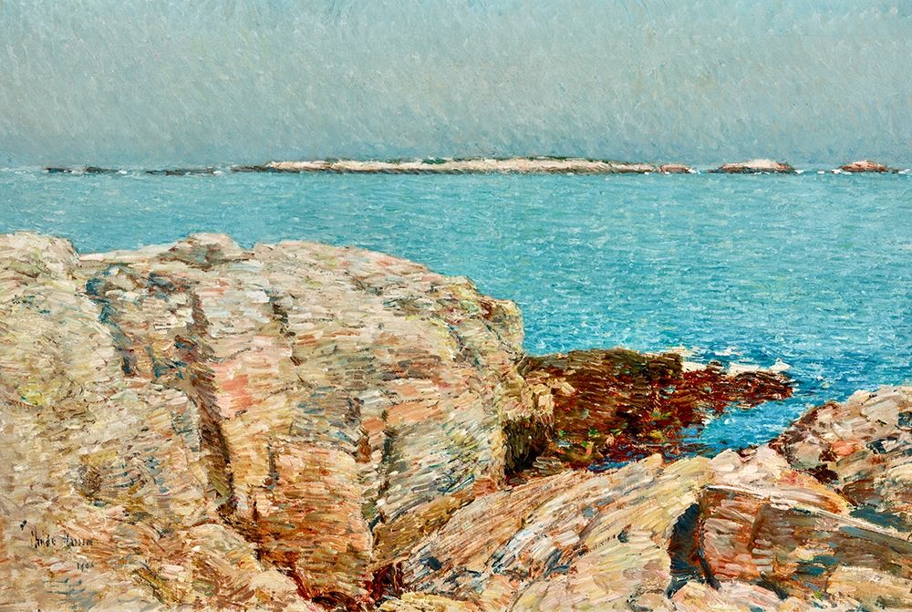 Wall Art Painting id:410653, Name: Duck Island, Artist: Hassam, Childe