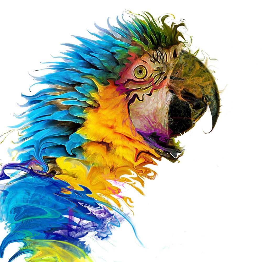 Wall Art Painting id:410722, Name: Parrot Paint, Artist: Smith, Karen