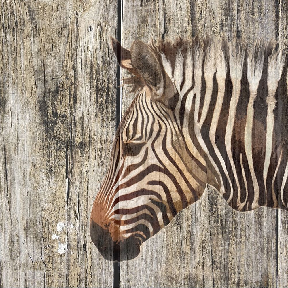 Wall Art Painting id:410726, Name: Wildheads Zebra, Artist: Smith, Karen