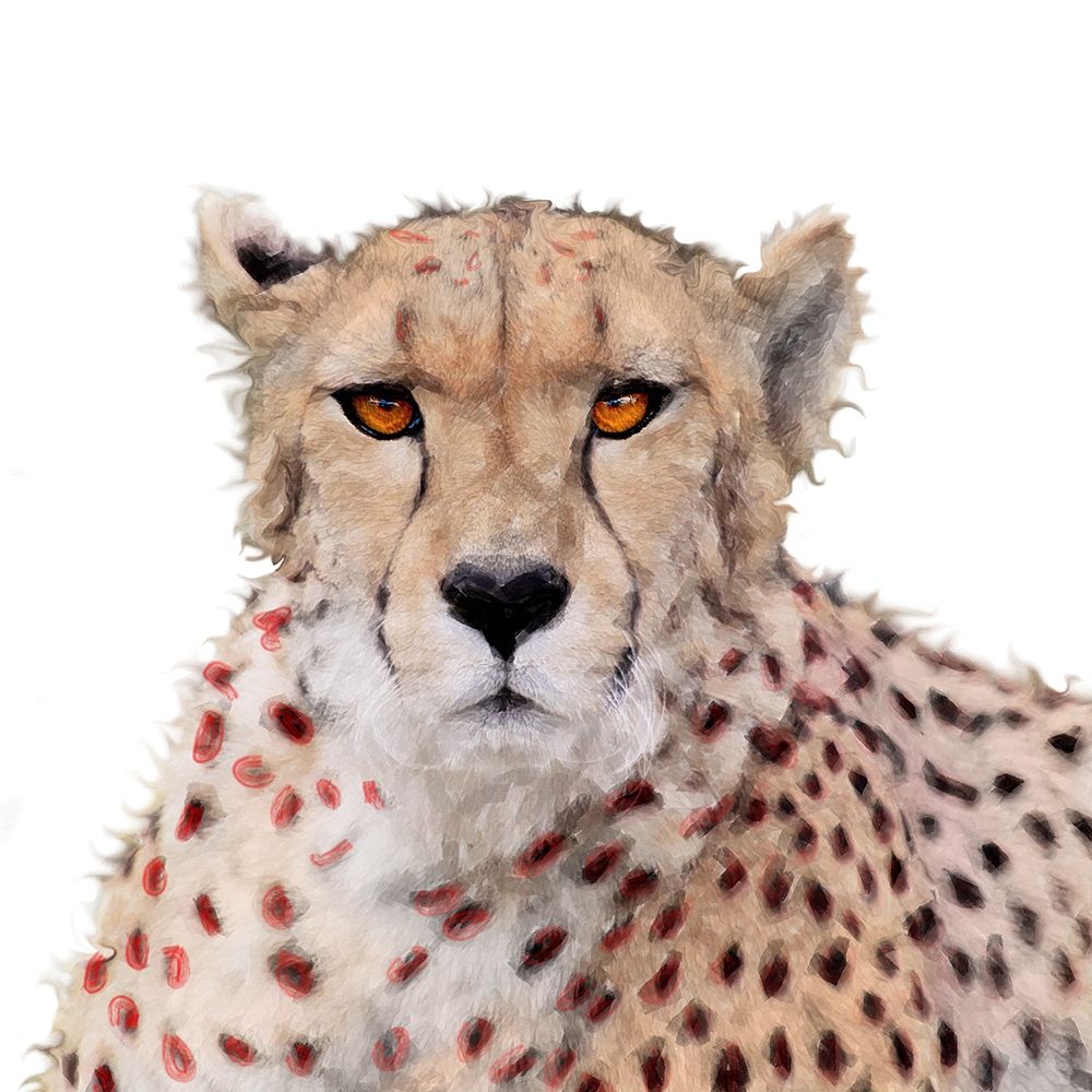 Wall Art Painting id:410731, Name: Cheetah Paint, Artist: Smith, Karen