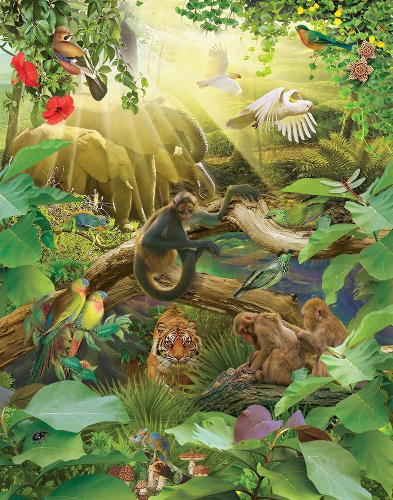 Wall Art Painting id:410887, Name: Jungle Mix I, Artist: Hunziker, Steve