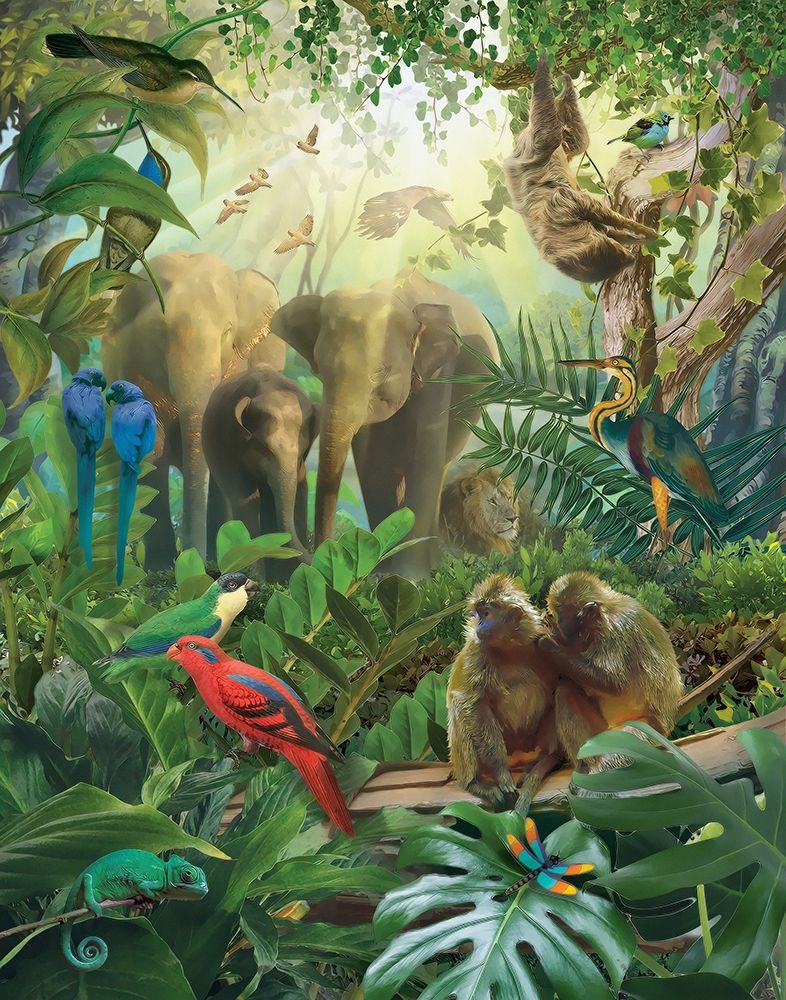 Wall Art Painting id:410888, Name: Jungle Mix II, Artist: Hunziker, Steve