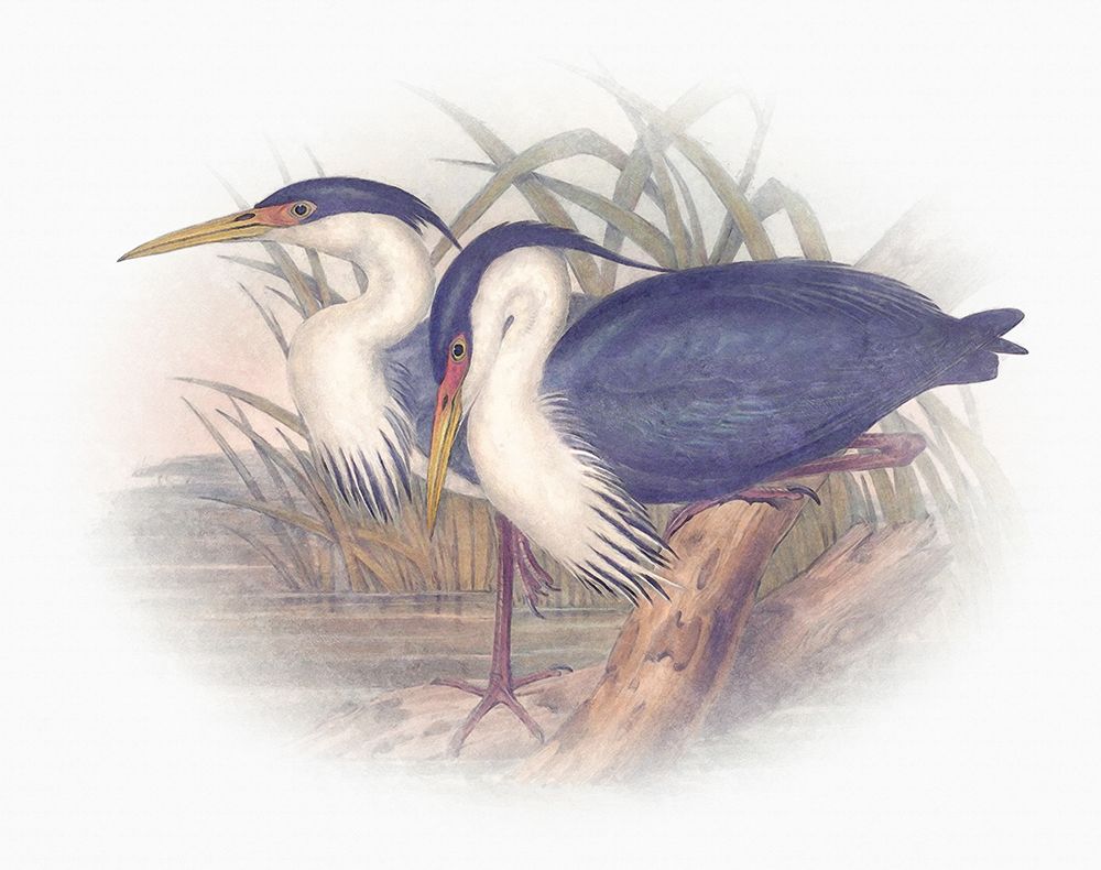 Similar wall art painting: 442781