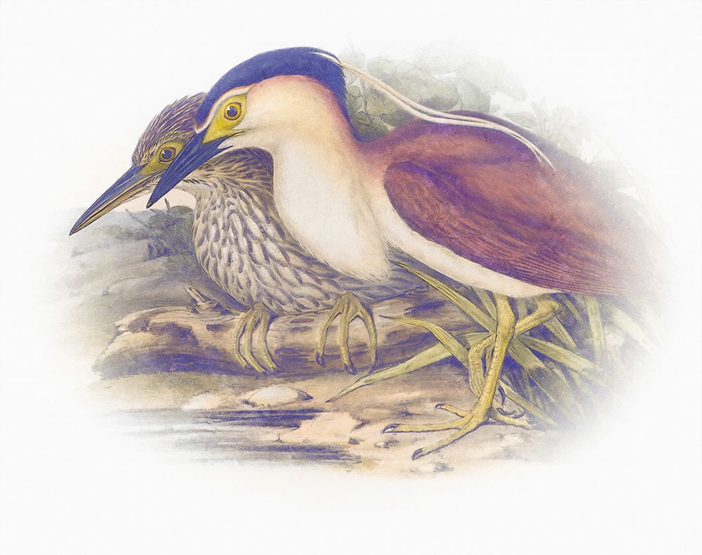 Similar wall art painting: 442783