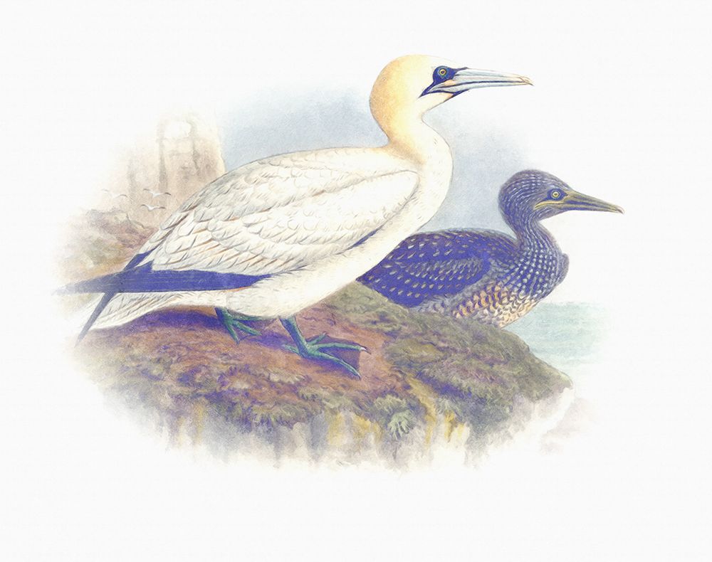 Similar wall art painting: 442784