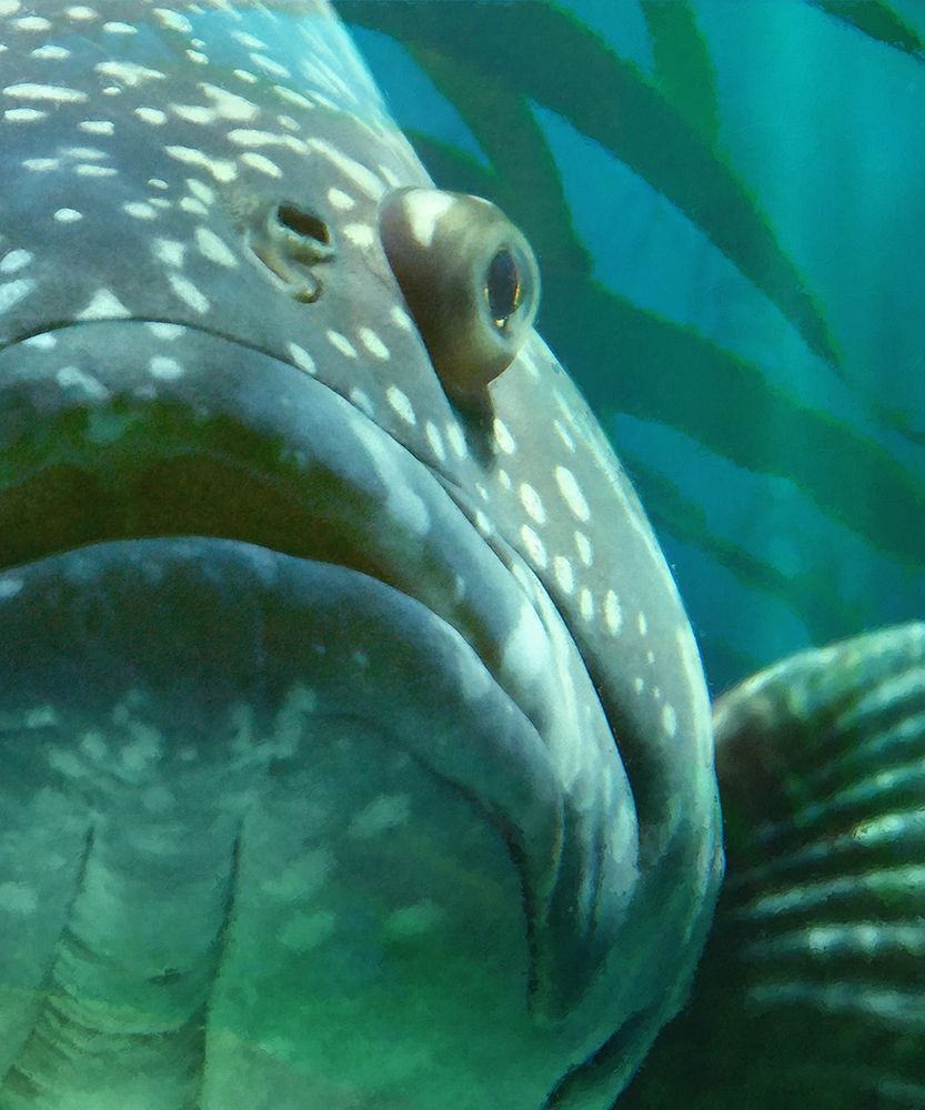 Similar wall art painting: 442841