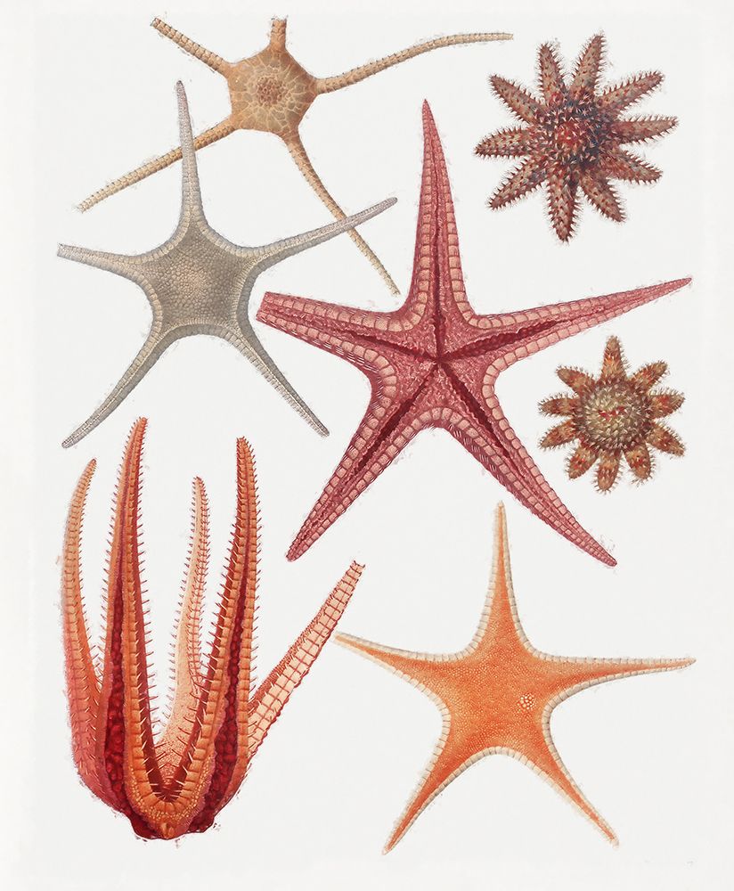 Similar wall art painting: 442858