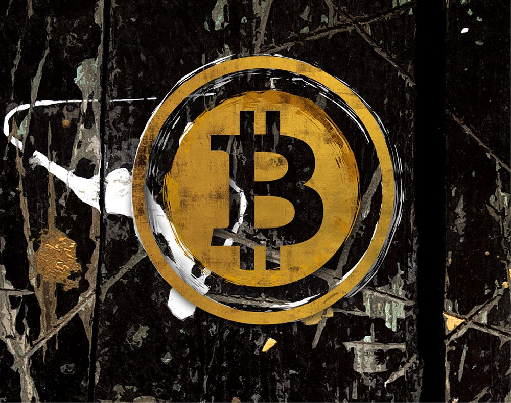 Wall Art Painting id:446196, Name: Bitcoin Splash, Artist: Smith, Karen