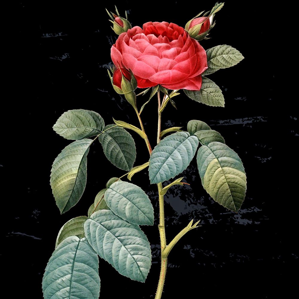 Similar wall art painting: 446223