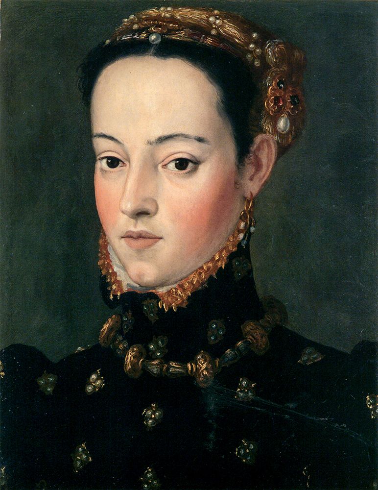 Wall Art Painting id:763748, Name: Daughter of Ferdinand I, Helena or Barbara ca 1563, Artist: Arcimboldo, Giuseppe