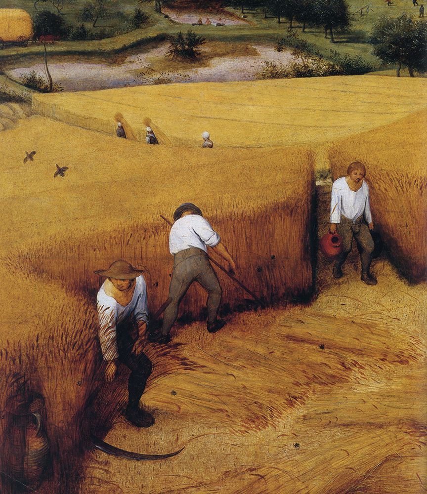 Art Print: The Corn Harvest detail 1565