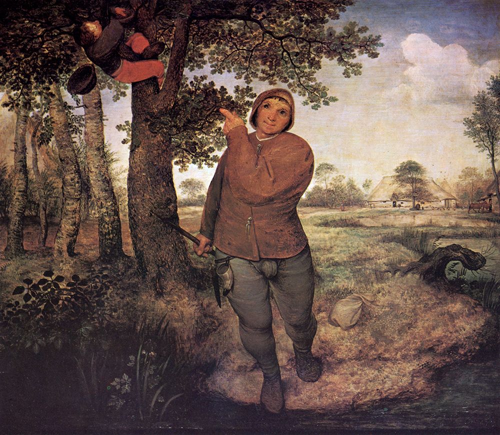 Art Print: The Peasant and the Birdnester 1568