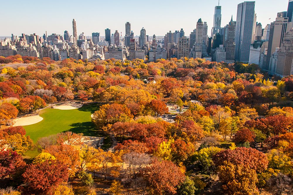 Wall Art Painting id:646316, Name: Central Park in the Fall, Artist: Silver, Richard