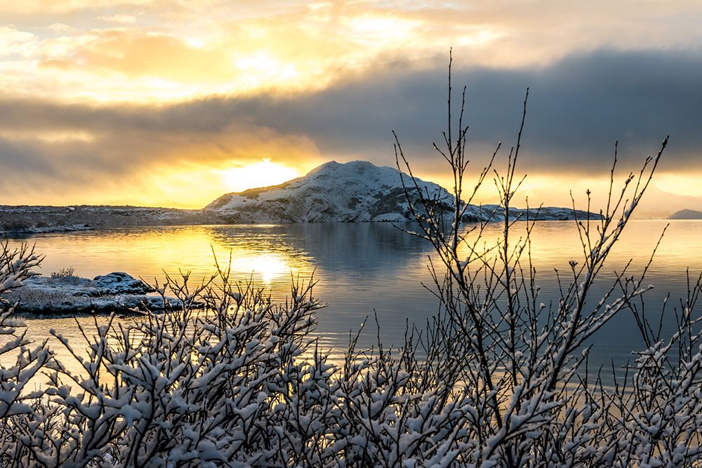 Similar wall art painting: 646317