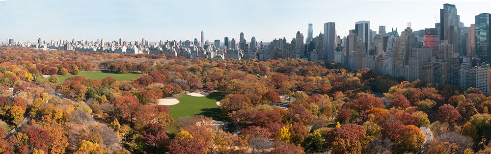 Wall Art Painting id:646323, Name: Central Park Panorama, Artist: Silver, Richard