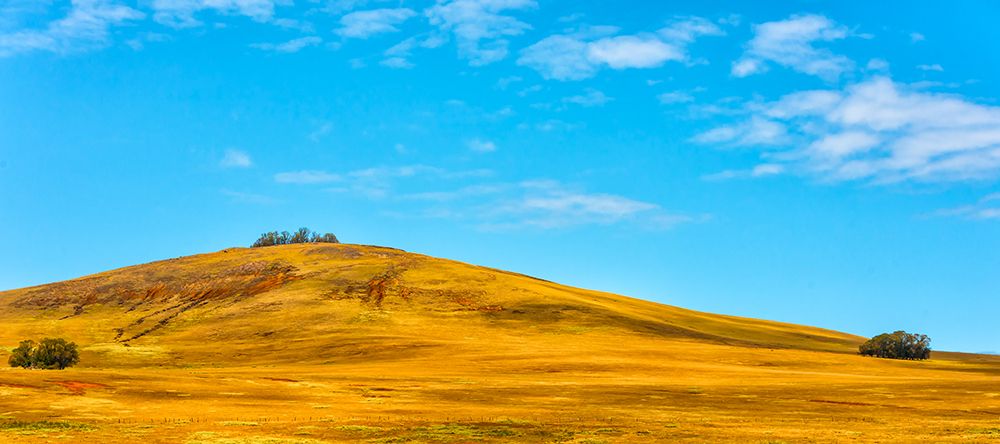 Wall Art Painting id:646350, Name: Rolling Hills, Artist: Silver, Richard