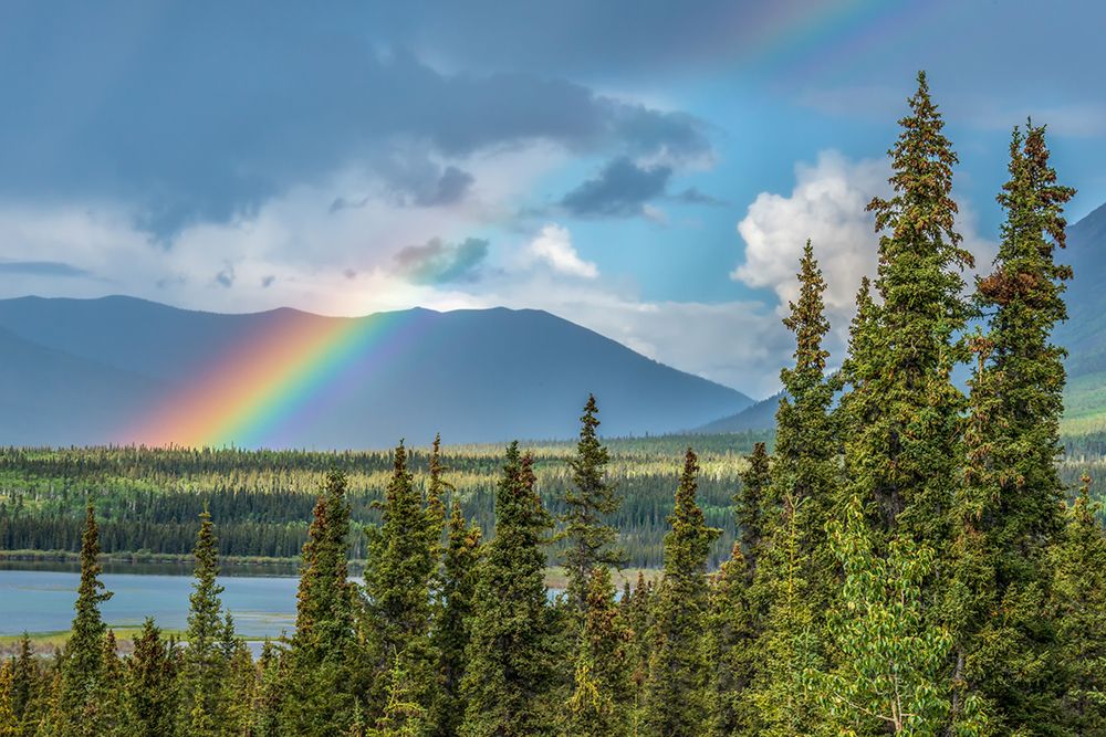 Wall Art Painting id:646357, Name: Yukon Rainbow, Artist: Silver, Richard