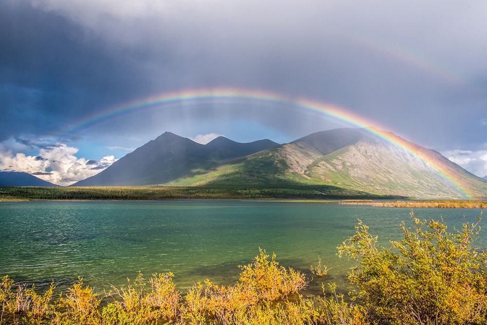 Wall Art Painting id:646358, Name: Complete Yukon Rainbow, Artist: Silver, Richard