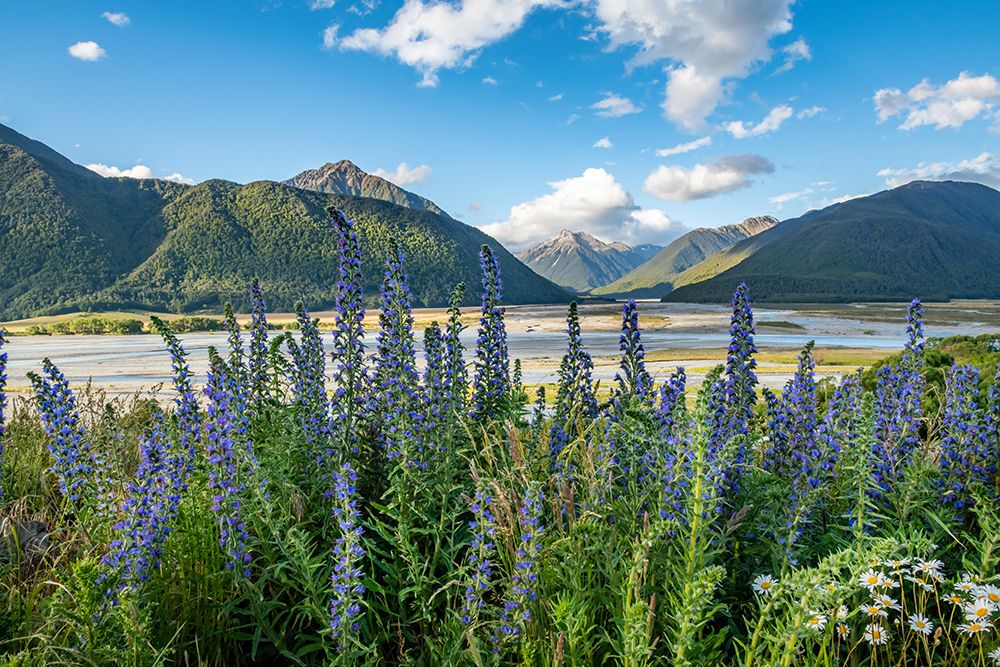 Similar wall art painting: 646459